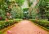Ghidul îngrijirii corecte a grădinii: ce să știi ca să ai un spațiu verde frumos și sănătos