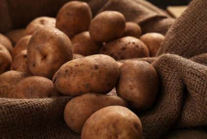 Cartofii – cultivare, beneficii și curiozități. Idei de rețete cu cartofi