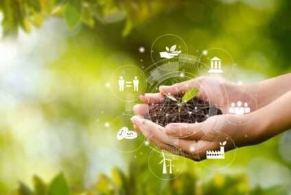 Agricultura durabilă: practici ecologice pentru creșterea calității solului