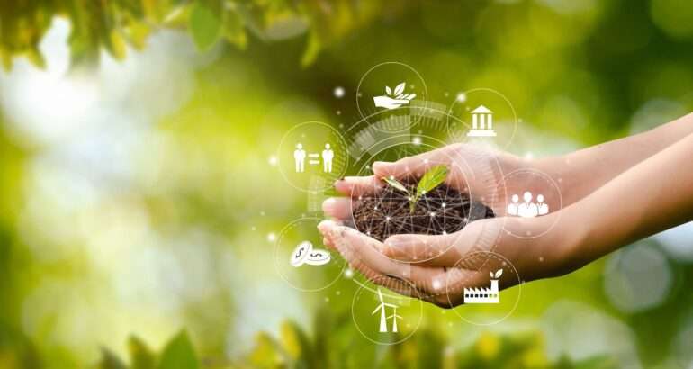 Agricultura durabilă: practici ecologice pentru creșterea calității solului