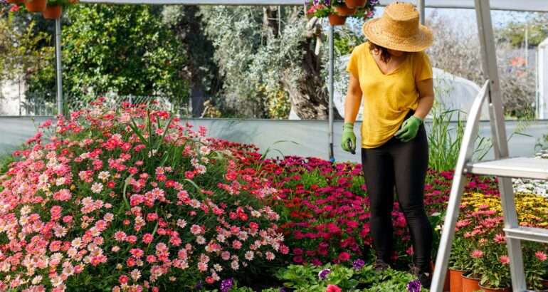 4 lucruri pe care trebuie să le știi despre amenajarea grădinii