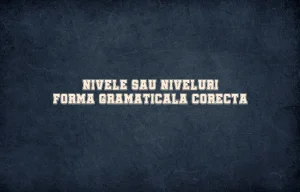 Nivele sau niveluri forma gramaticala corecta