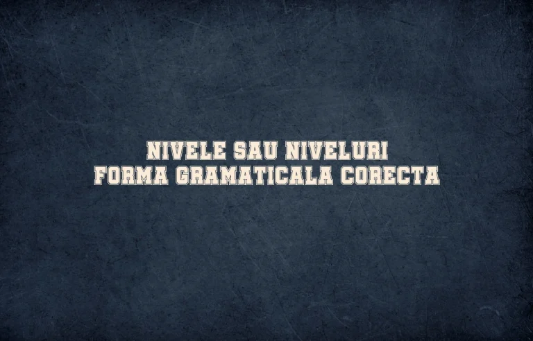 Nivele sau niveluri forma gramaticala corecta