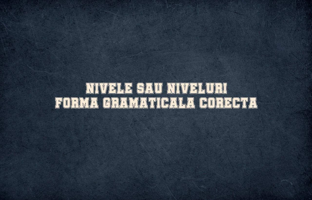 Nivele sau niveluri forma gramaticala corecta
